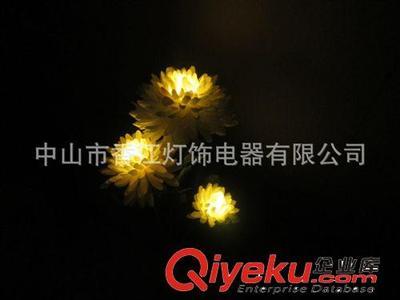 广东太阳能创意造景 花灯、菊花灯、LED仿真花与草坪灯系列美图赏析